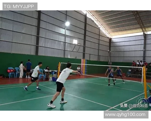 重庆羽毛球队转型之路的挑战与机遇探索杯赛背后的故事与未来发展